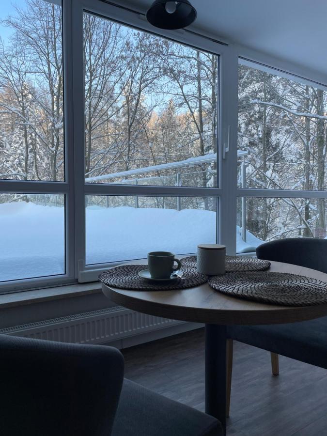 Apartament Kurort Kozubnik - Taras Nad Potokiem Porąbka Extérieur photo